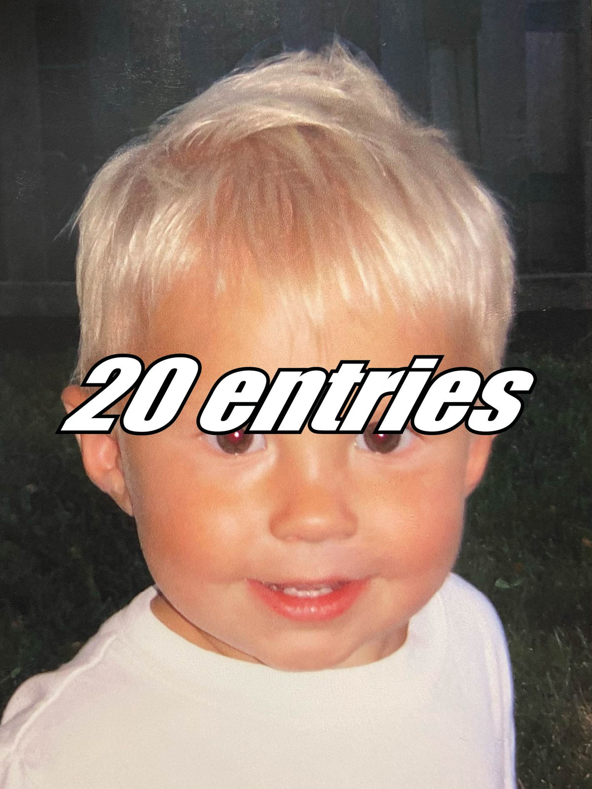 20 entries
